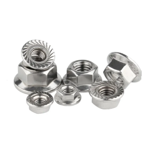 Stainless Steel 304 316 Hexagon Flange Nut