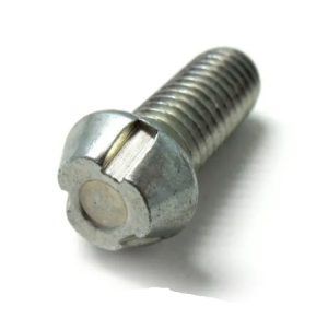 Special Stainless Steel one way bolt