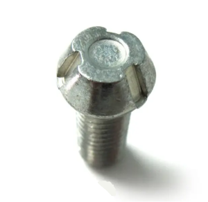 Stainless Steel Anti-Theft tamper proof screw