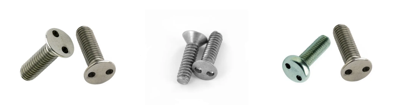 Stainless Steel Snake Eyes Anti-theft Security Self Tapping Screws